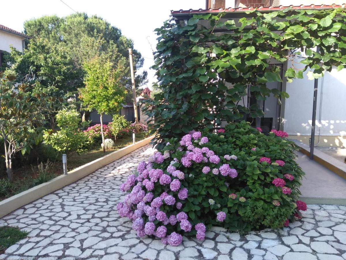 Apartments And Room Markovic 로비니스코 셀로 외부 사진