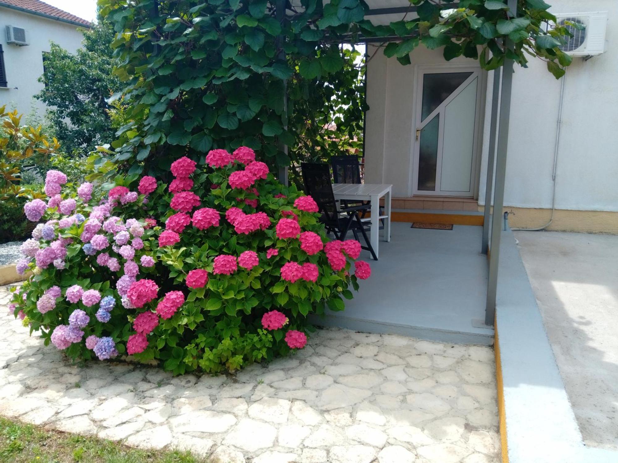 Apartments And Room Markovic 로비니스코 셀로 외부 사진