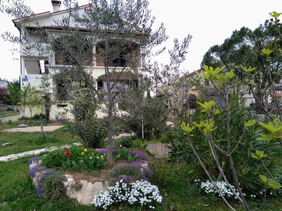 Apartments And Room Markovic 로비니스코 셀로 외부 사진